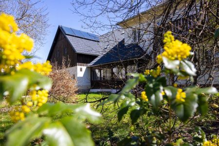 Holiday-house-Mala-Skala-13
